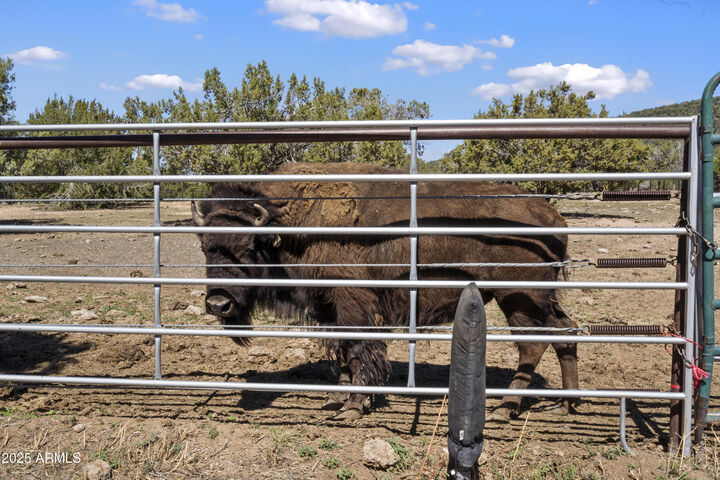 Property Photo: 33425 W Cowboy Clint Way AZ 86337