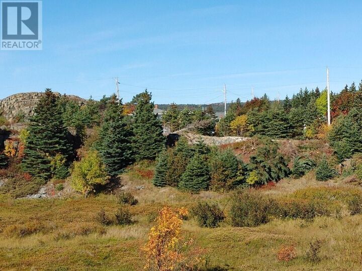 Property Photo:  742-744 Water Street  NL A0A 1G0 