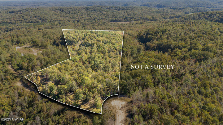 000 Cotton Court Road  Clifton TN 38425 photo