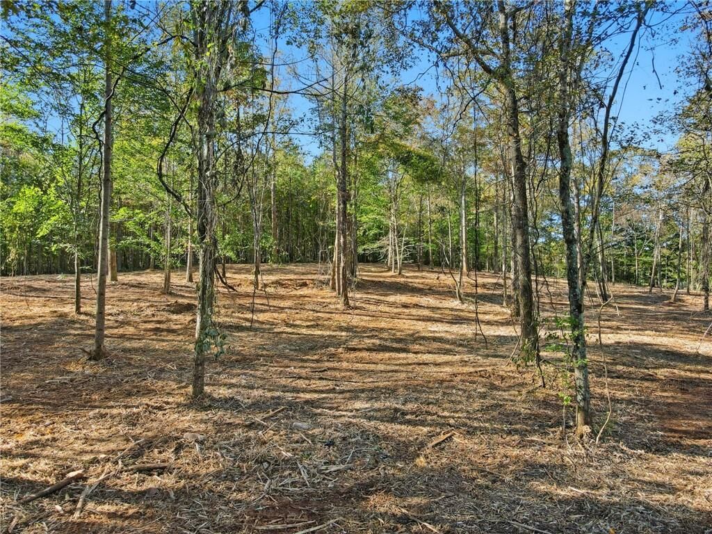 Property Photo:  13630 Birmingham Highway  GA 30004 