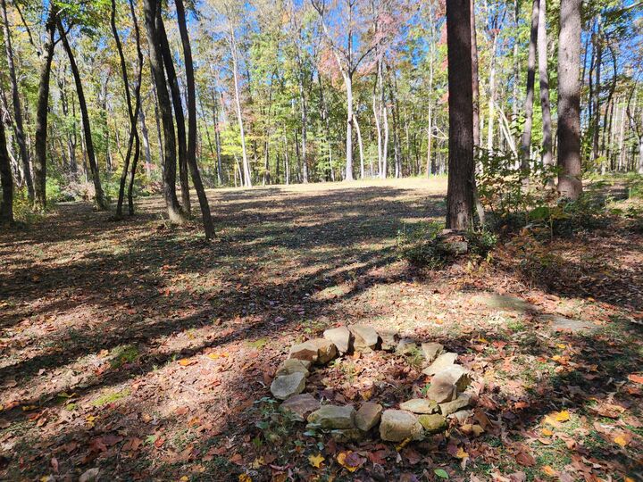 Property Photo:  255 Libby Lane  AL 35984