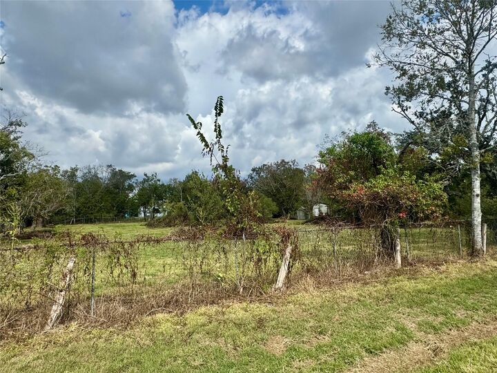 Property Photo: 11809 County Road 458C TX 77515