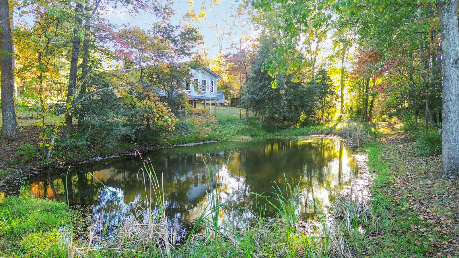 Property Photo:  24 Beehive Lane  KY 40701 