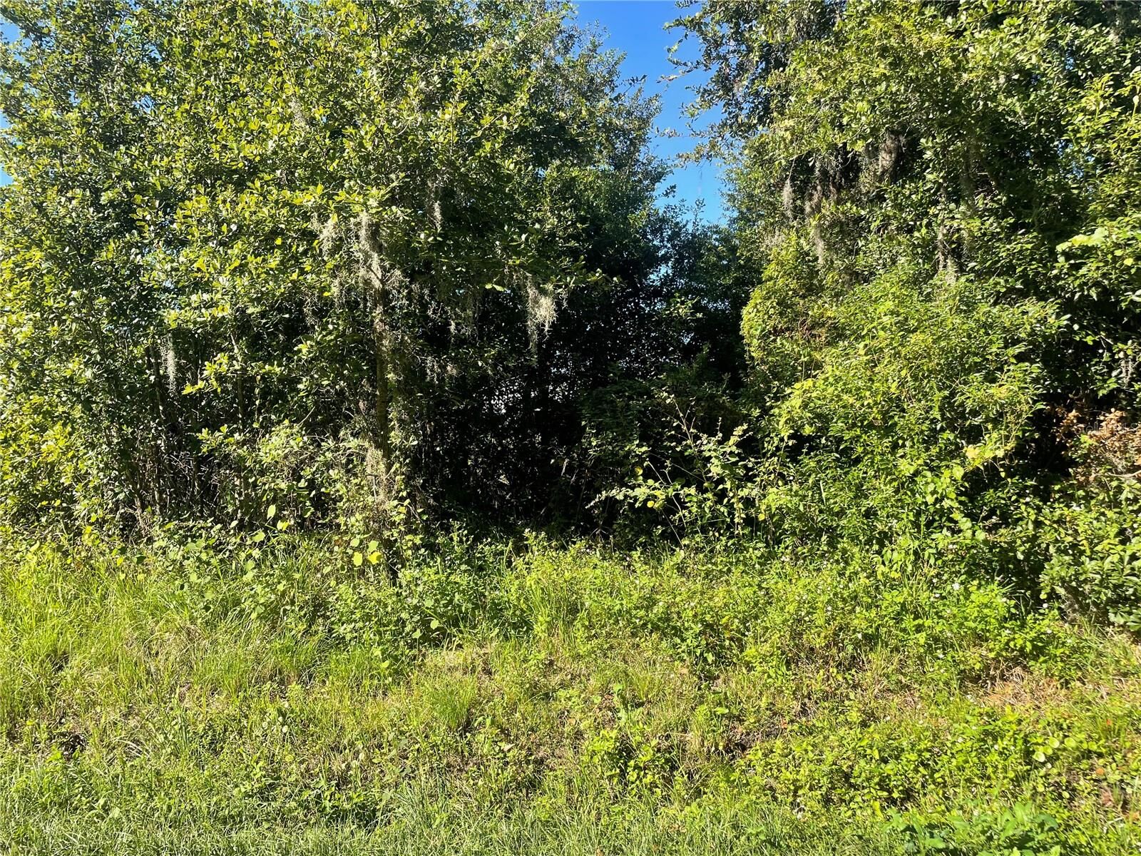 Property Photo:  Pevetty Drive  FL 33563 