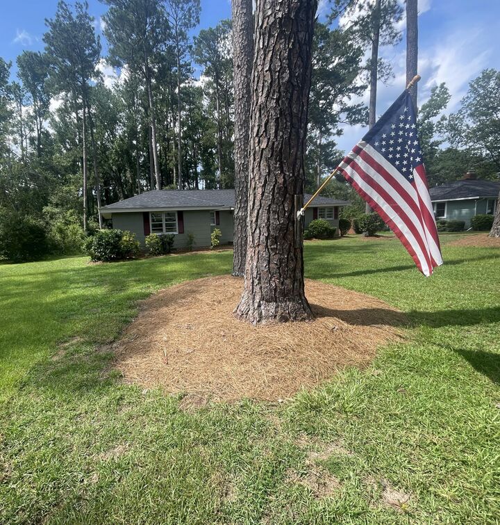 Property Photo: 118 Langham Street GA 30824