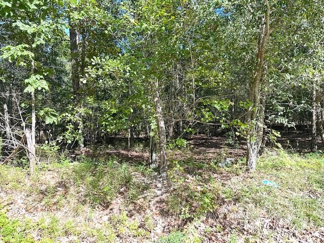 Property Photo:  1 Acorn Lane A  SC 29142 