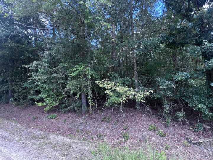 Property Photo: 1435 Woods Street SC 29153