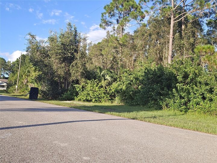 Property Photo:  6012 Sara Avenue N  FL 33971