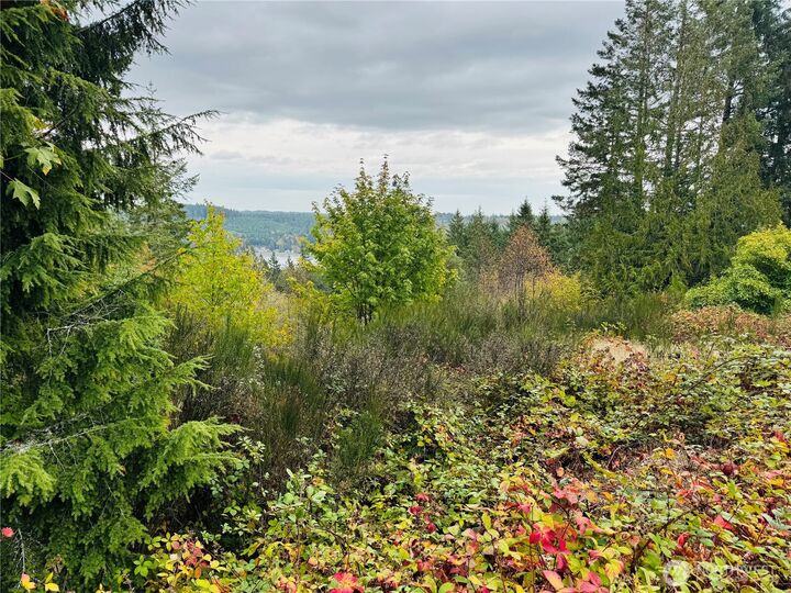 Property Photo: 181 E Rainier Court WA 98524