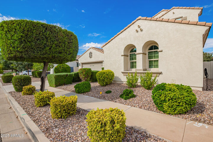 Property Photo:  3516 E Megan Street  AZ 85295 