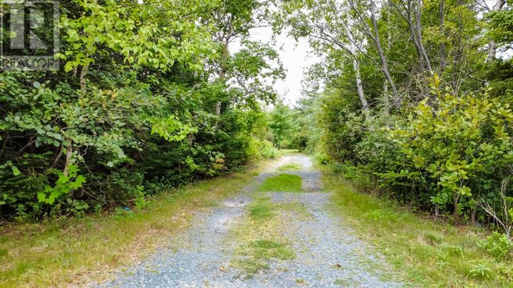 56 Angels Road  Topsail NL A1L 2C6 photo