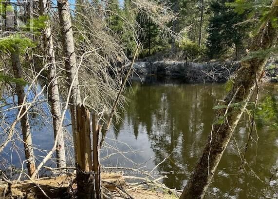 0 County Road 503  Minden Hills (Snowdon) ON K0M 2A1 photo