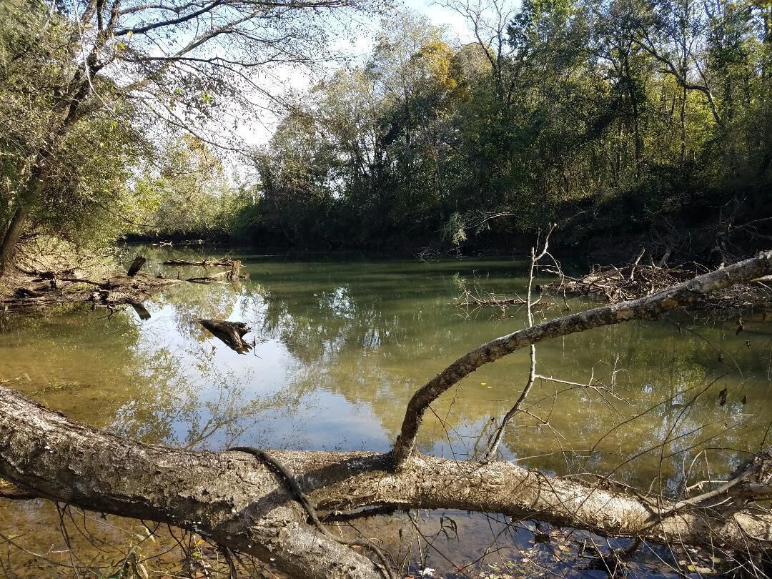 Property Photo:  975 S Magnolia Avenue S  TN 37397