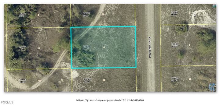 Property Photo:  650 Mulberry Avenue S  FL 33974 