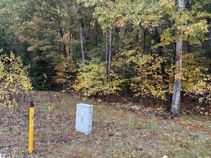 Property Photo:  Lot #1 Penn Lock Colony Road  MI 49643