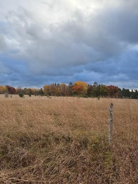 Property Photo: Tbd Tract D Gunpowder Road MN 56465