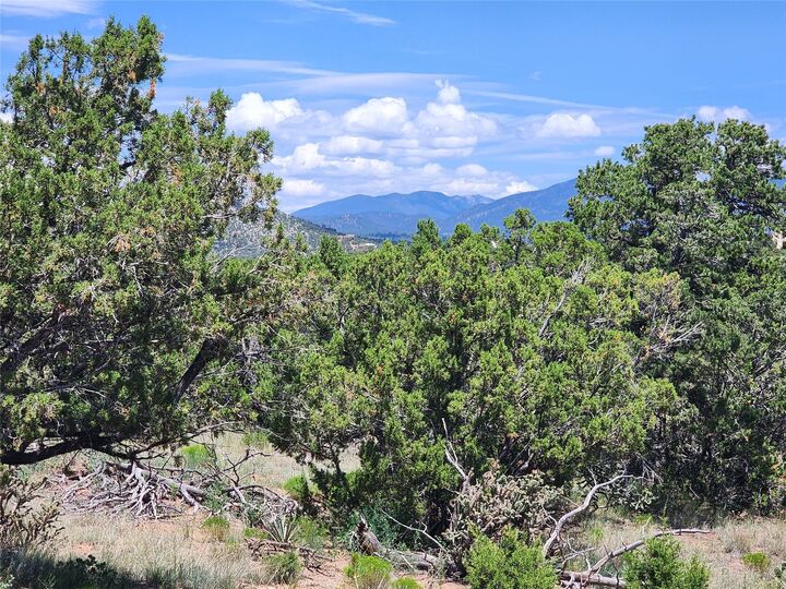 Property Photo: 24 Goathead Ct NM 87508