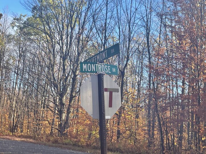 Property Photo:  V/L Lot 78 Montrose Drive  MI 49659