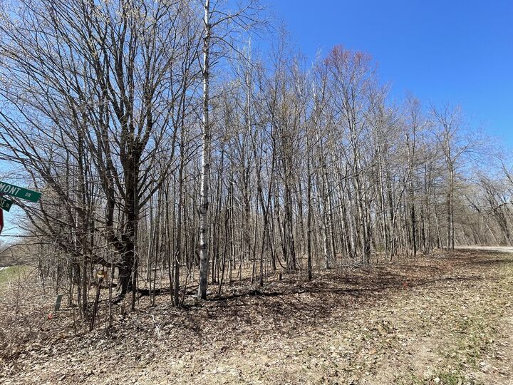 Property Photo:  V/L Lot 78 Montrose Drive  MI 49659 