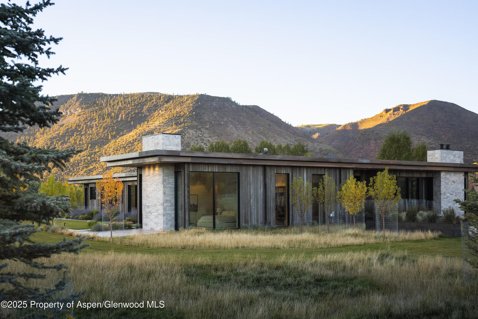 Property Photo:  88 Clover Lane  CO 81656