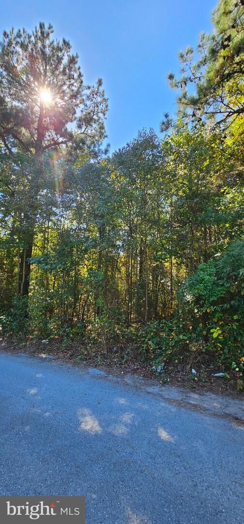 Property Photo:  Lot 6 Thelma Court  DE 19950