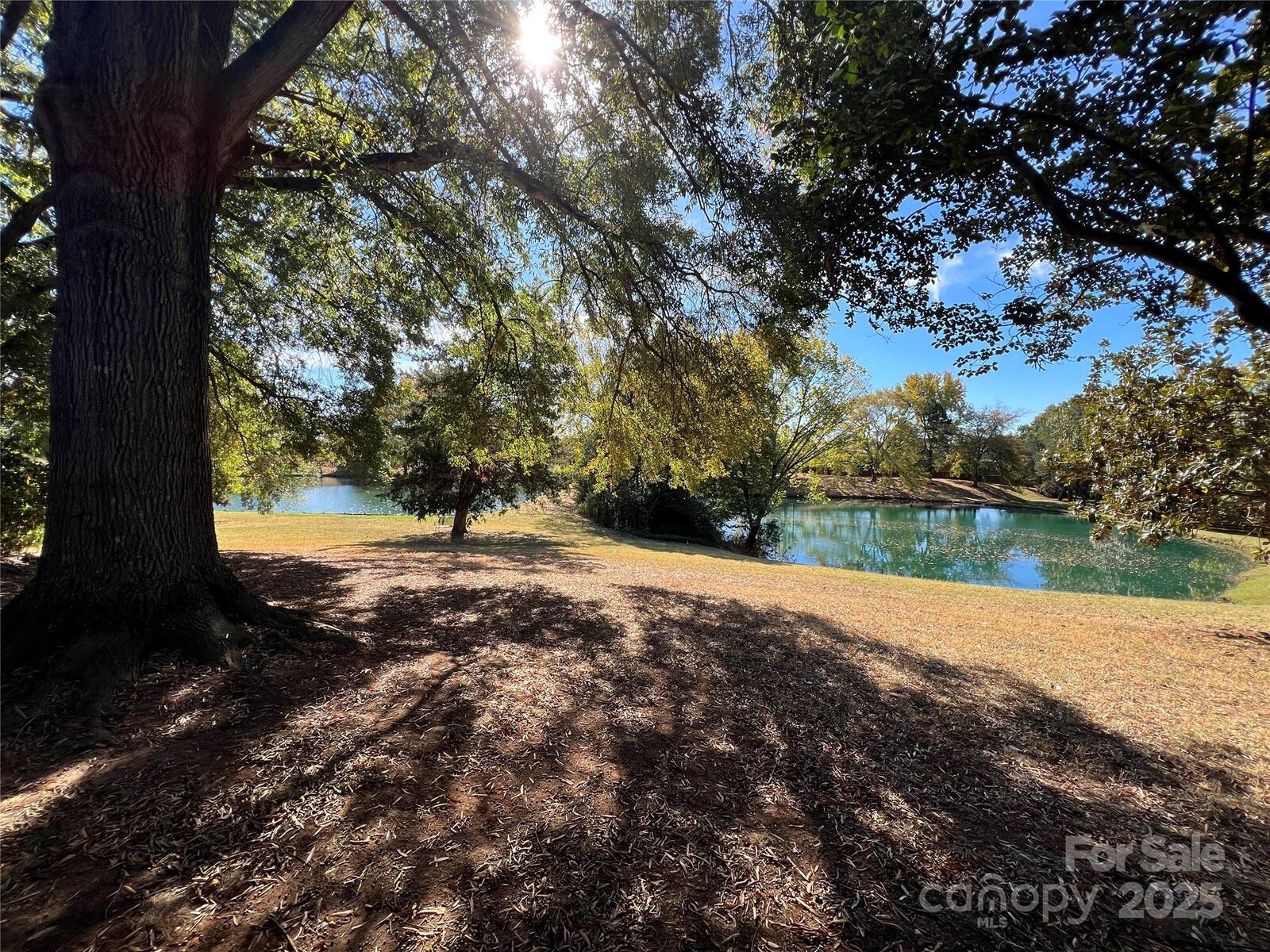 Property Photo:  7047 Quail Hill Road  NC 28210