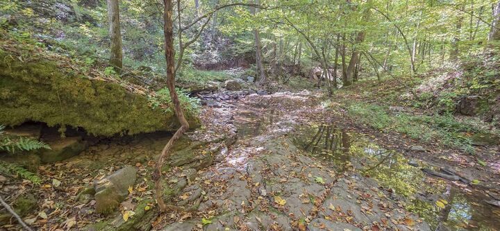 Property Photo:  Ellison Ridge Rd  WV 25969 