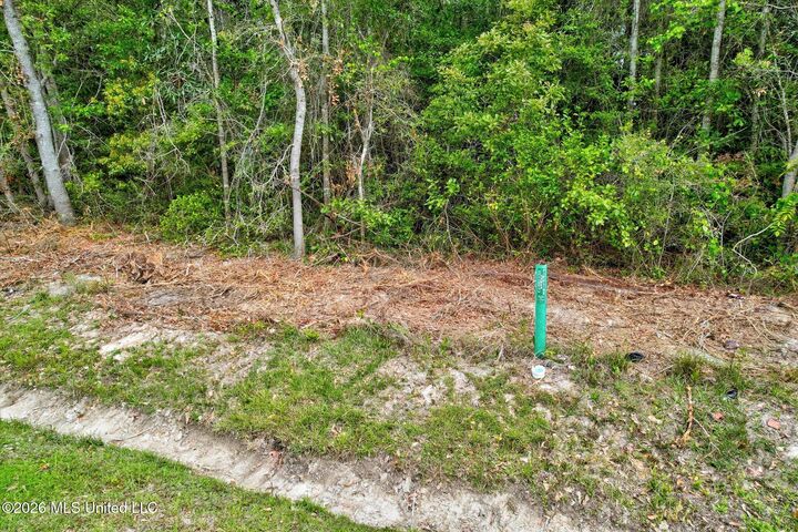 Property Photo:  Duvernay Road  MS 39576 