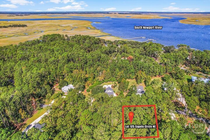 Property Photo: Lot 125 Sapelo Circle NE GA 31331