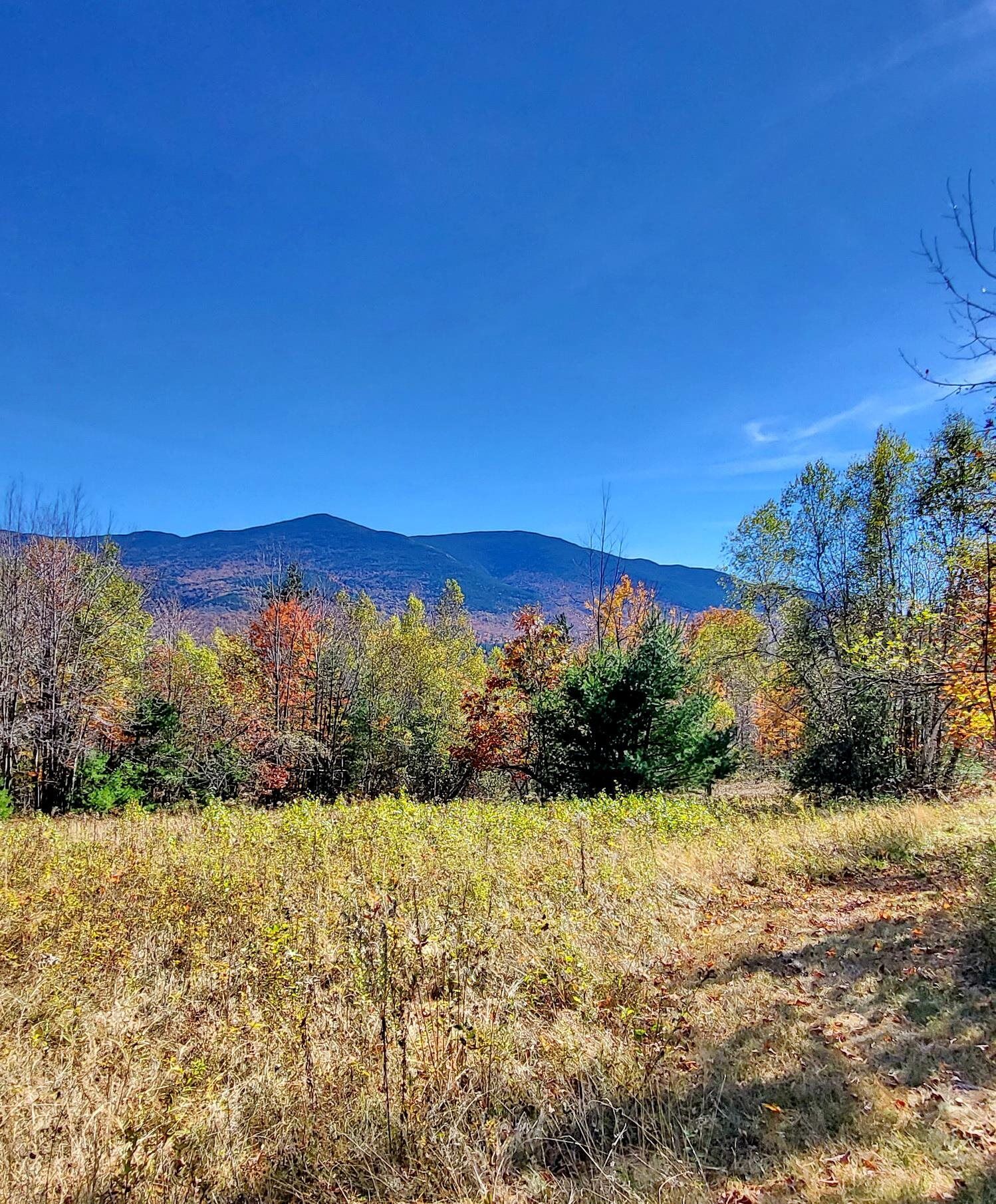 Property Photo: 00 Ruskin Road NH 03580