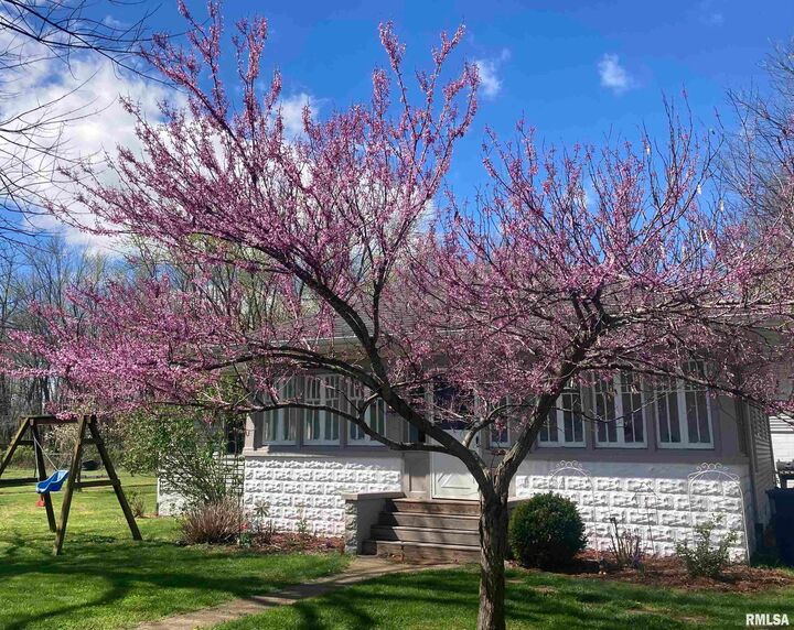 439 N Howard Street  Duquoin IL 62832 photo