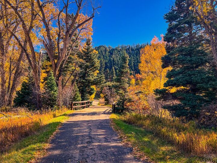 Property Photo:  14708 Hwy 12  CO 81055