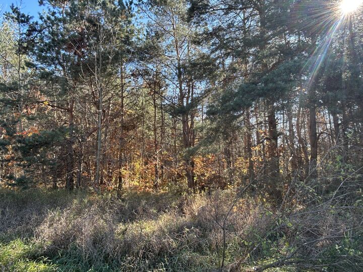 Property Photo: V/L 1.6ac Woodward Avenue MI 49730