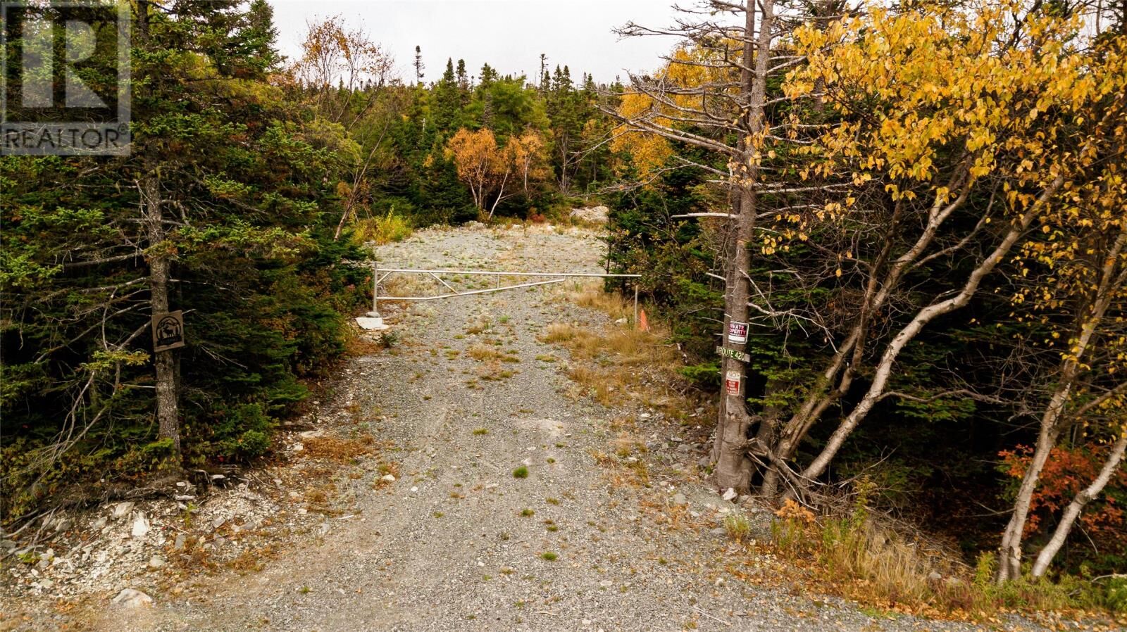 Property Photo:  X Cape Pond Road  NL A0A 4A0 