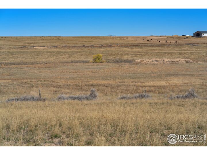 Property Photo: 54215 County Road 21 CO 80612