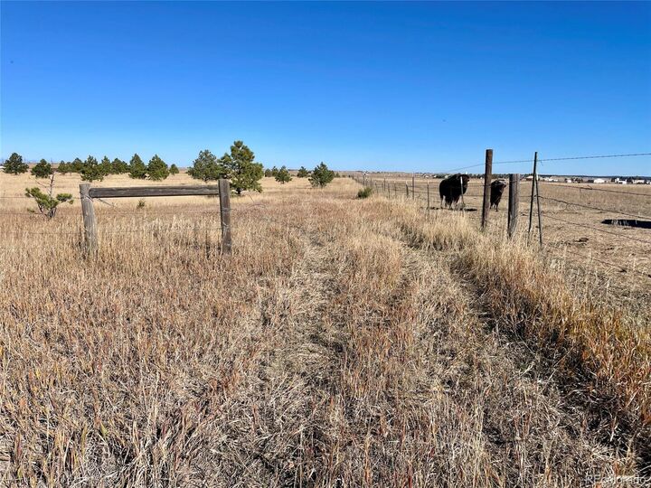 Property Photo: Parcel A County Road 98 CO 80106