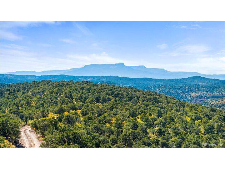 Property Photo: Tollerburg Rd CO 81082