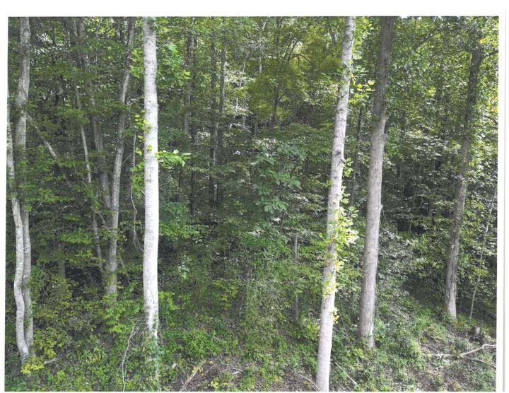 Property Photo:  736 E Cave Branch Road Branch  KY 40962