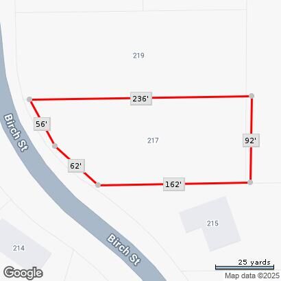 Property Photo: 217 W Birch Street MI 49252