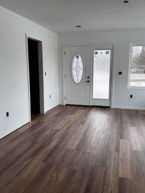 Property Photo: 217 W Birch Street MI 49252