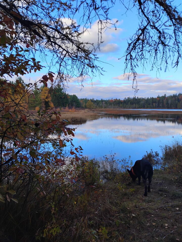 Property Photo: 01-2.2 Airline Road ME 04622