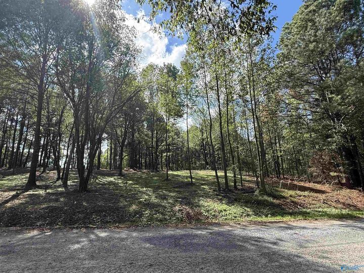 Property Photo:  #1B County Road 1123  AL 35179