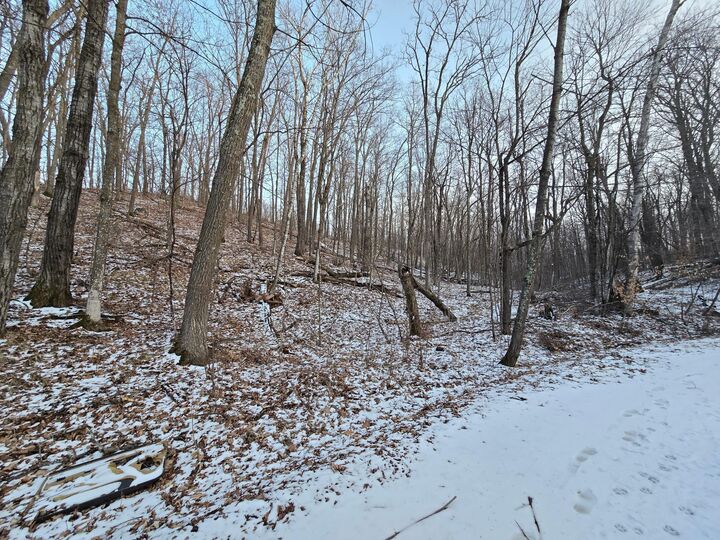 Property Photo: Lot25blk1 Westward Ho MN 56450