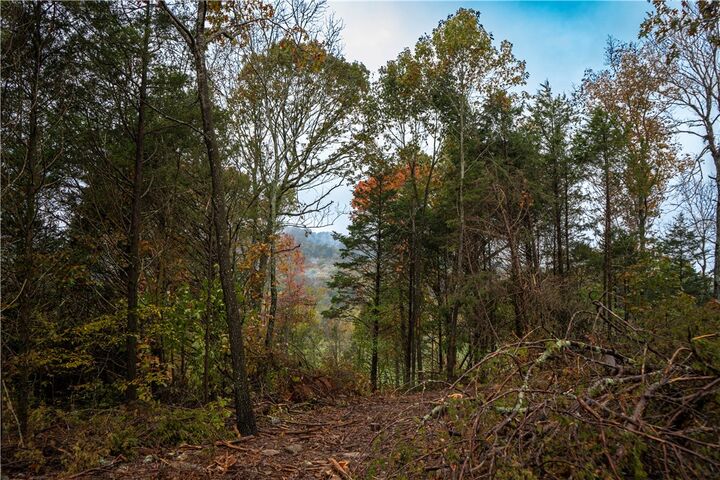 Property Photo:  31679 Ar-74  AR 72642 