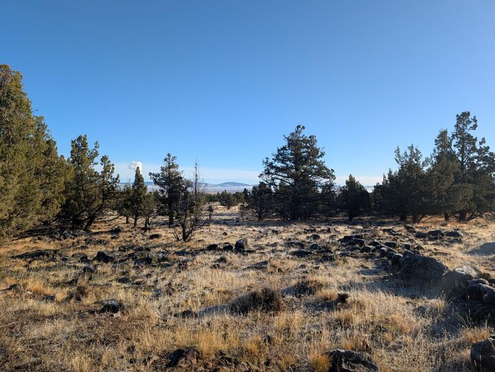 Property Photo:  Cedar Trails Lot 4  OR 97603