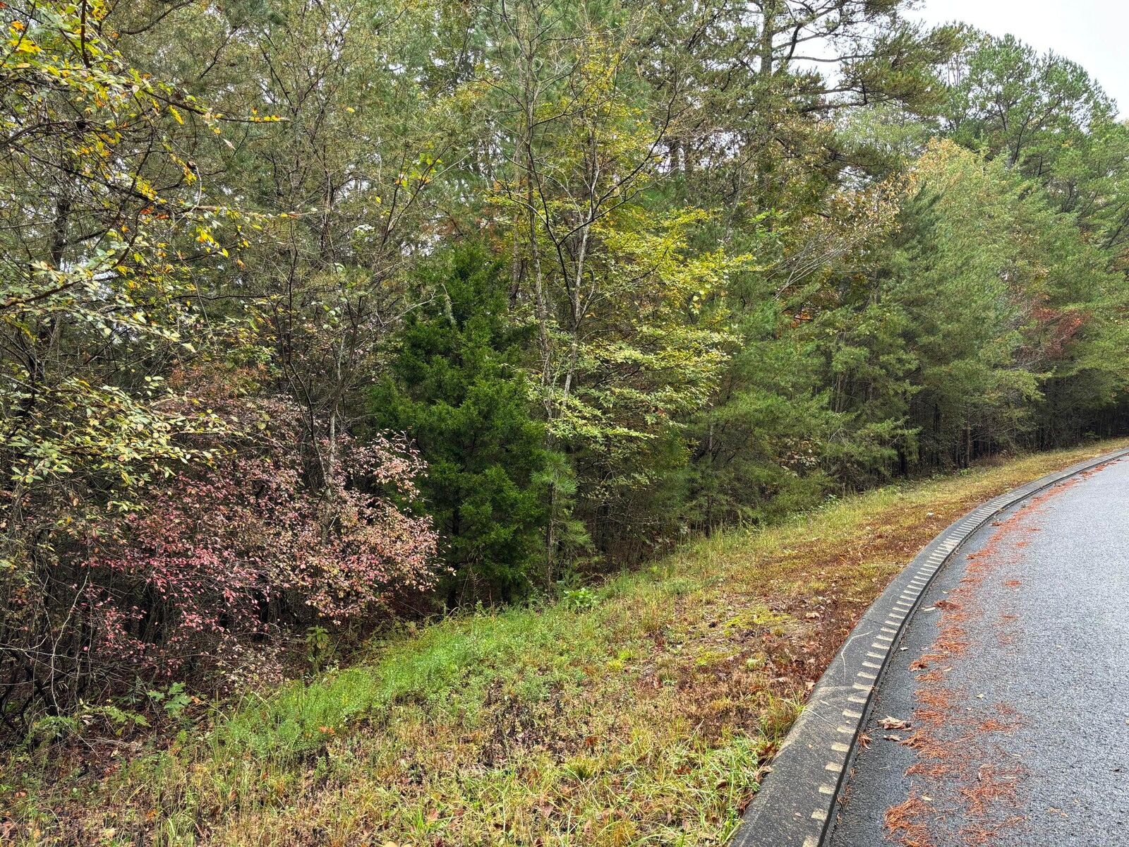 Property Photo:  3 Countryside Drive  TN 37327 