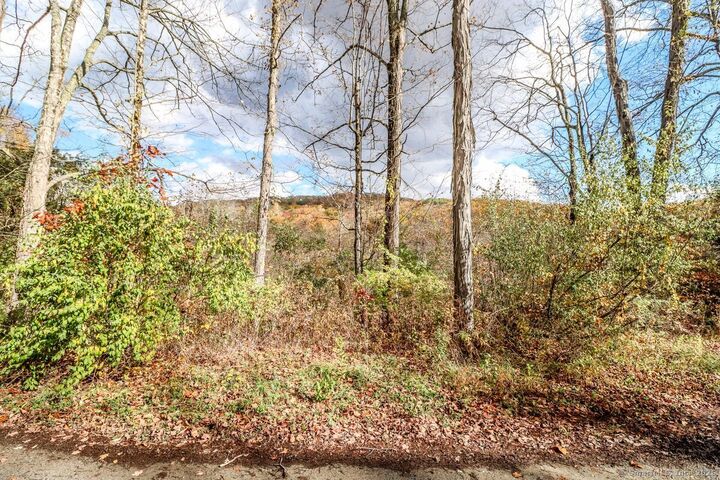 Property Photo:  0 Saw Mill Road  CT 06776