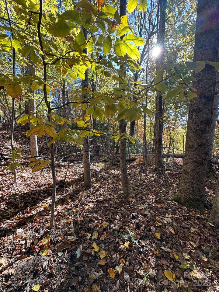 Property Photo:  9999 Hemlock Trail  NC 28739 