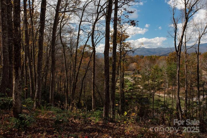 Property Photo:  154 South Slope Lane 18  NC 74848 