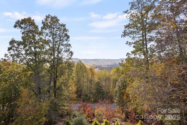 Property Photo:  908 Somersby Parkway  NC 28739